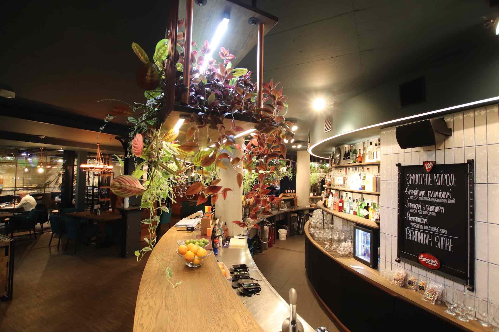 Restaurace SONO — foto 2
