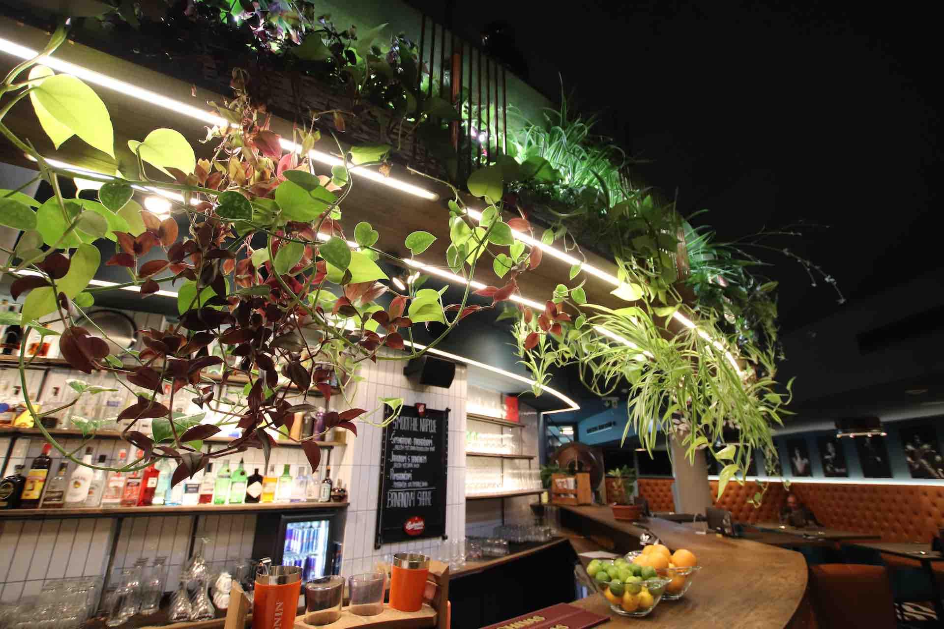 Restaurace SONO